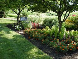 250garden