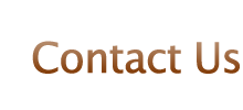 Contact Us