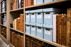 Manuscript groups in archival boxes and historic ledgers line shelves in the archives.