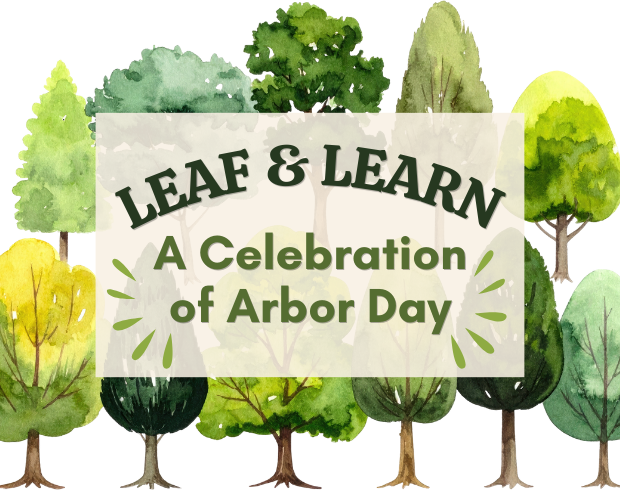 Leaf & Learn: A Celebration of Arbor day graphic with watercolor illustrations of a variety of trees.