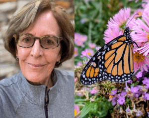 An older woman with light skin and short brown hair is on an image on the left. On the right is an image of a monarch butterfly.