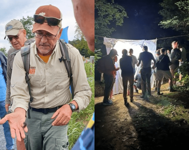 (left) A man wearing a khaki shirt with an orange hand showing a furry caterpillar. (right) A moth lighting. People are gathered around a bedsheet handing in the air with lights pointed at the sheet to attract moths.