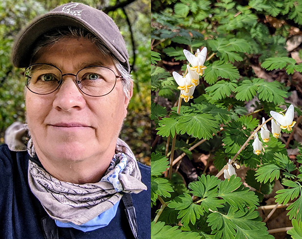 Image of a woman with light skin wearing a baseball hat, glasses, and bandana on the left. On the right, an image of Dutchman's Breeches, which look like delicate little white pantaloons, upside down, on a stem.