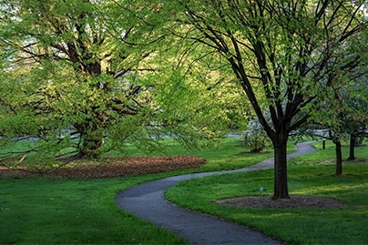 The Louise Arnold Tanger Arboretum