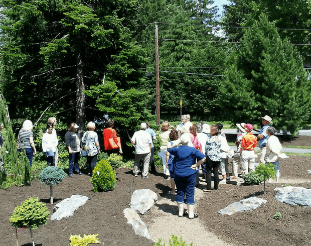 Image of a crowd surveying the Dwarf Conifer Garden.