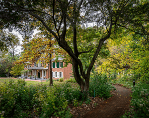 Image of Wheatland in autumn. The leaves are turning colors.
