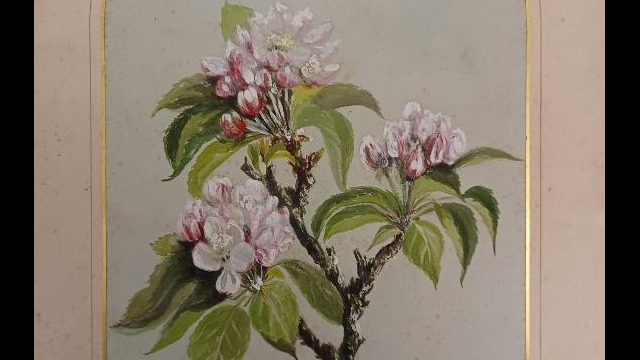 Flowers, dated March 5, 1856, from the collection of LancasterHistory Painting of flowers