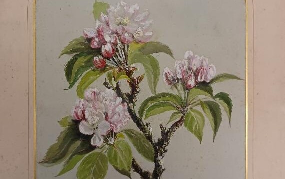 Flowers, dated March 5, 1856, from the collection of LancasterHistory Painting of flowers